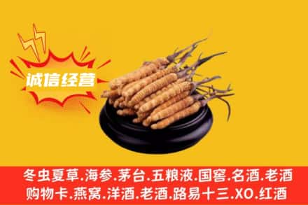 汤旺县回收冬虫夏草